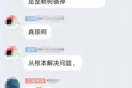 保定企业清欠服务